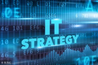 藍盟觀點 深度評估IT外包網絡維護與信息系統運維服務的核心價值